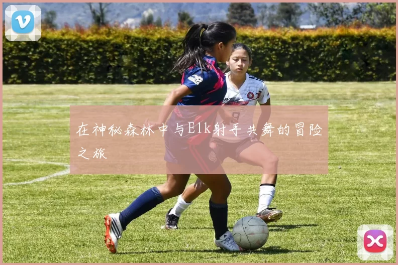 在神秘森林中与Elk射手共舞的冒险之旅