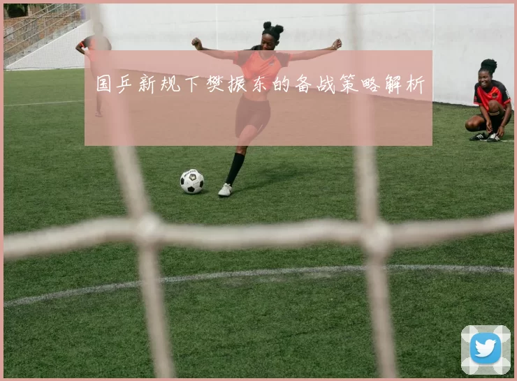 国乒新规下樊振东的备战策略解析