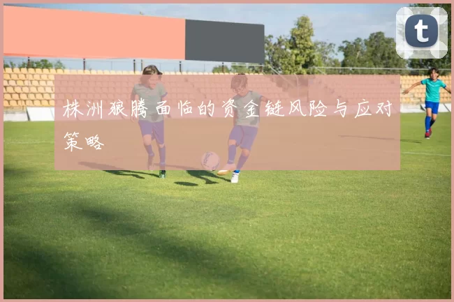 株洲狼腾面临的资金链风险与应对策略