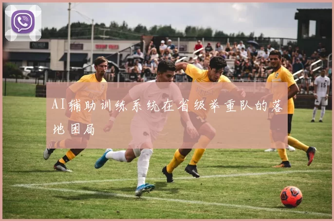 AI辅助训练系统在省级举重队的落地困局