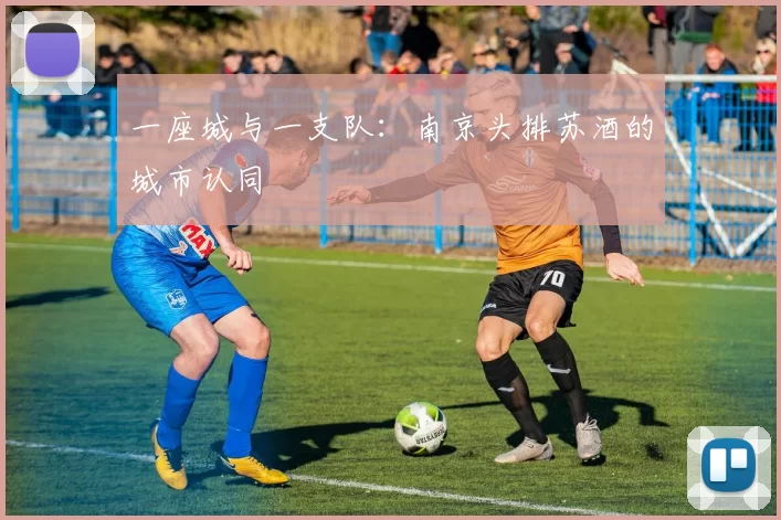 一座城与一支队：南京头排苏酒的城市认同